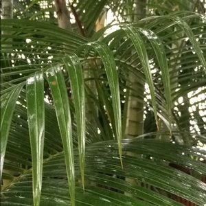 Bundle for Bella 💕